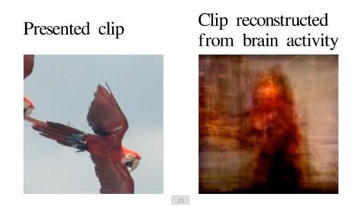 Reconstructing Video from Brain Activity